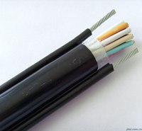電梯用抗拉型控制電纜