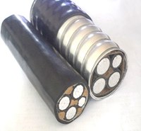 帶護(hù)套鋁合金電纜