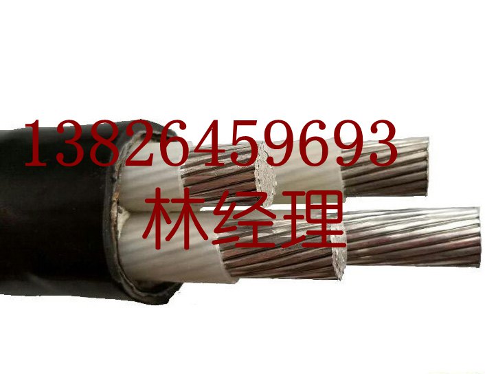廣東電纜廠電線電纜