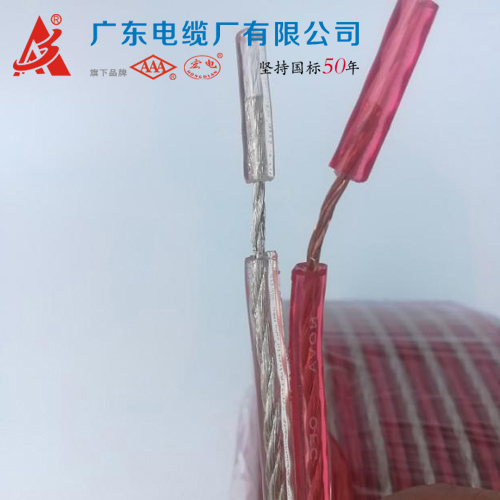 廣東電纜廠有限公司_廣東_電纜_電纜廠